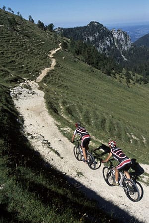 Alpenpanorama vom Mountainbike aus.
