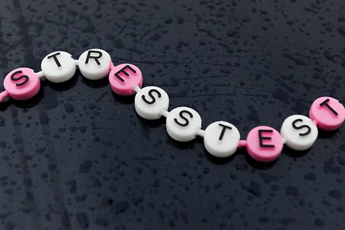 "Stresstest" ist das Wort des Jahres 2011