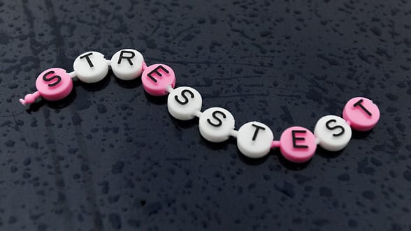 "Stresstest" ist das Wort des Jahres 2011