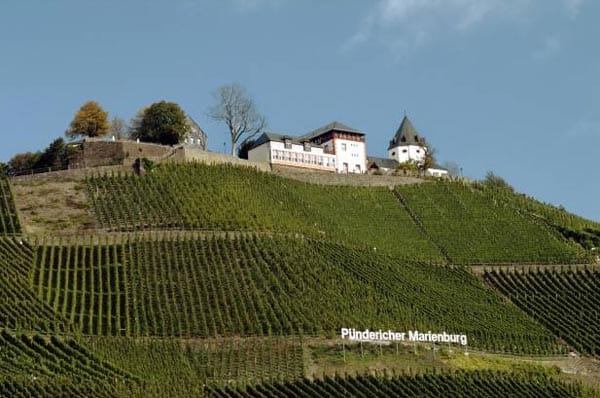 Die Mosel-Radtour erfreut Liebhaber von Wein und Burgen.