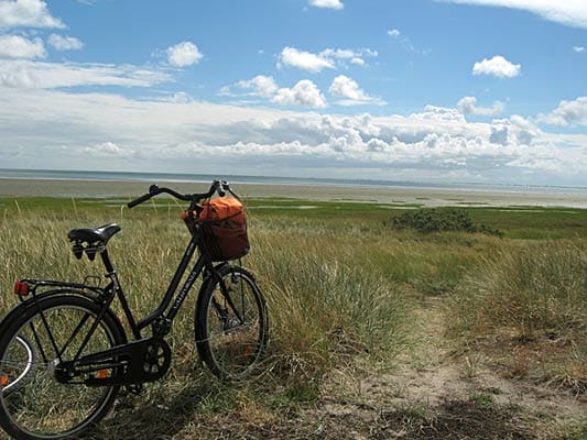 In Deutschland kann man gute 900 Kilometer auf der Nordseeküsten-Route Radfahren.