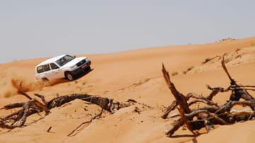Wildes Dünenreiten in Omans Wüsten.