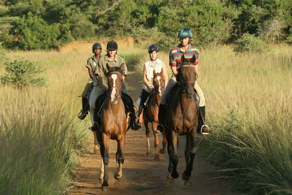 In Südafrika auf Reitsafari mit Buschfrühstück und Sundowner am Berg.