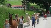 Wandernde Kinder auf "Lama-Bewegung" im Allgäu.