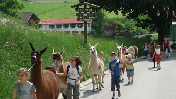 Wandernde Kinder auf "Lama-Bewegung" im Allgäu.