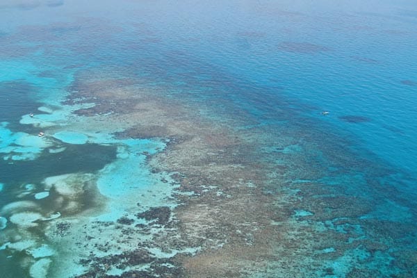 Tauchen: Die Florida Keys beherbergen das drittgrößte Korallenriff der Welt.