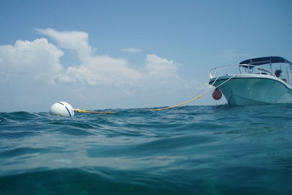 Nicht nur Wassersport, sondern auch Fischerei drohen das Ökosystem zu zerstören.
