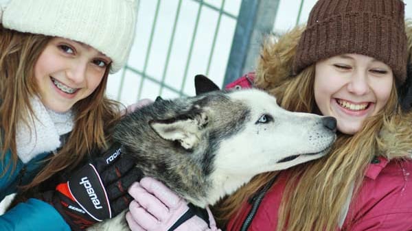 Husky-Wandern in Oberösterreich.