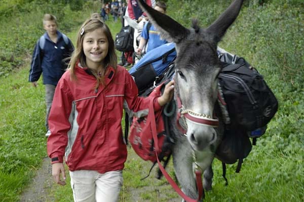 Die sanftmütigen und geduldigen Esel sind die perfekten Wanderbegleiter für Kinder.