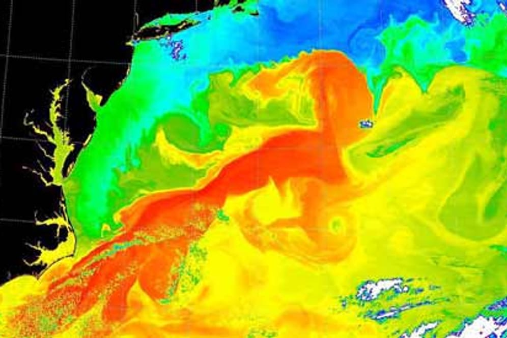 Eine NASA-Aufnahme zeigt die Wasserzirkulation des Golfstroms
