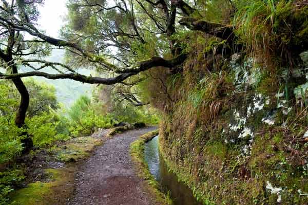 Ein Traum zum Wandern: Madeira.