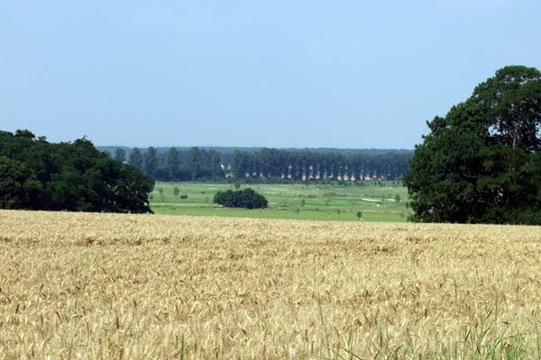 Inlineskaten auf 42 Kilometern im Naturpark Rheinland.