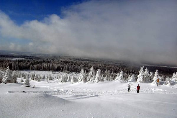 Wandern und Wintersport im verschneiten Nationalpark Harz.