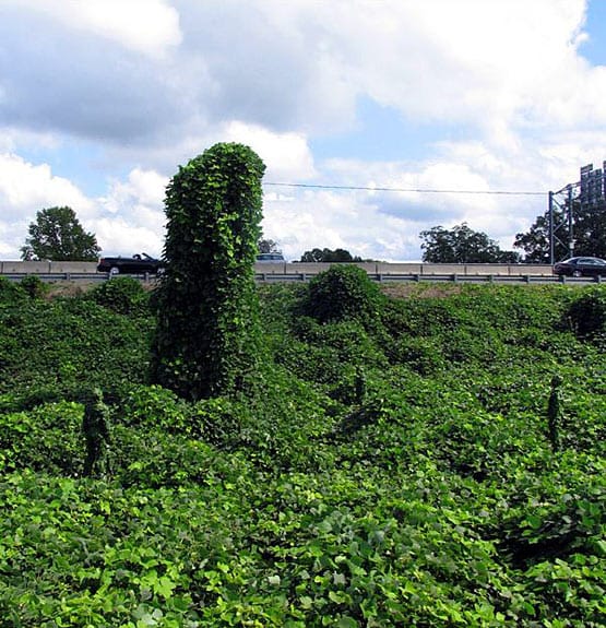 Installation von Mark Jenkins in Winston-Salem. Installation von Mark Jenkins in Winston-Salem.