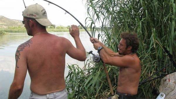 Rio Ebro: Welse über zwei Meter Länge.