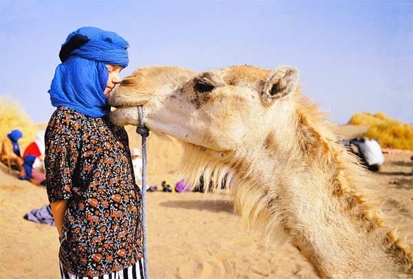 Kleine Pause mit Kamel