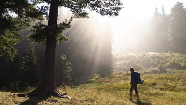 Wandern ist gesund.