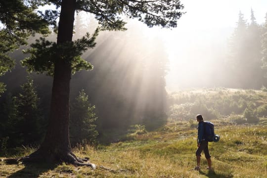 Wandern ist gesund.