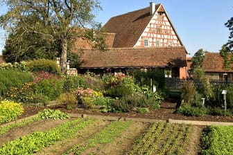 Ursprünglich war ein Bauerngarten nichts anderes als der Garten auf einem landwirtschaftlichen Betrieb, der vor allem dem Anbau von Gemüse diente.