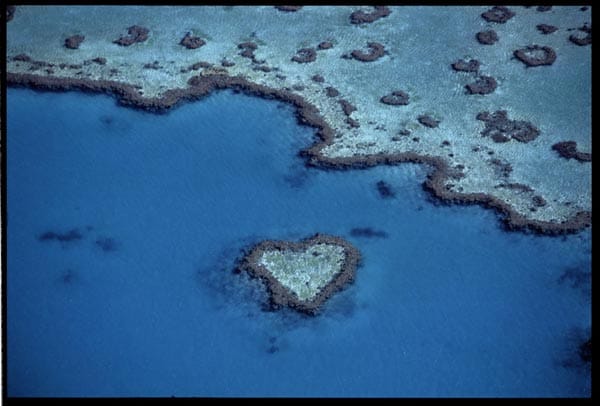 Solche Formationen findet man am Great Barrier Reef, das sich über 1600 Kilometer entlang der Küsten des Bundesstaates Queensland erstreckt. Es ist der größte lebende Organismus der Erde, der sogar vom Weltraum aus sichtbar ist.