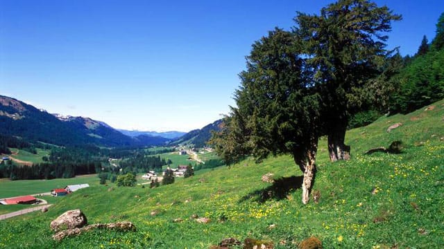 Wenn es wärmer wird und das Wetter sonnig ist, lockt Balderschwang Wanderer, Nordic Walker und Radfahrer an.