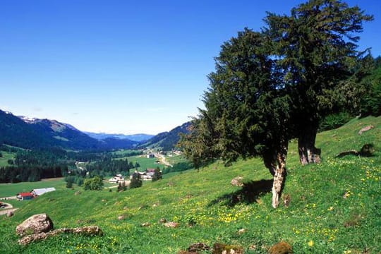 Wenn es wärmer wird und das Wetter sonnig ist, lockt Balderschwang Wanderer, Nordic Walker und Radfahrer an.