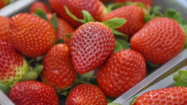 Achten Sie bei Erdbeeren auf den typischen Geruch