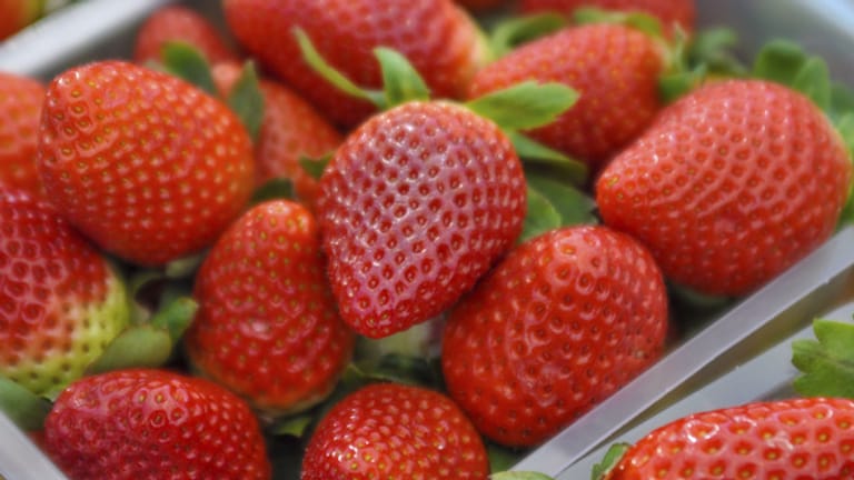Achten Sie bei Erdbeeren auf den typischen Geruch