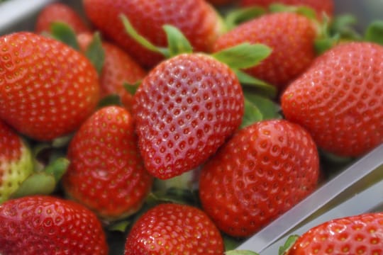 Achten Sie bei Erdbeeren auf den typischen Geruch