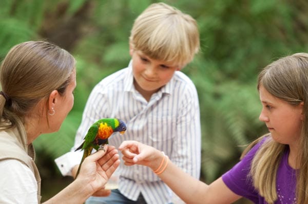 Australische Erlebniswelt „Toowoomba".