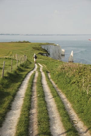 Auch Dorset wird auf der Runde durchquert und lockt mit herrlich zerklüfteter Küste.
