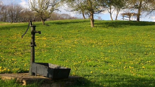 Mit einer Schwengelpumpe können Sie in Ihrem Garten einen echten Blickfänger platzieren.