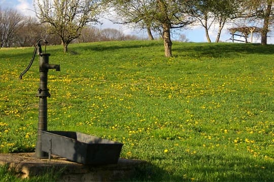 Mit einer Schwengelpumpe können Sie in Ihrem Garten einen echten Blickfänger platzieren.