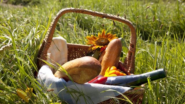 Essen, Trinken, Sonnenschutz: Haben Sie an alles gedacht?