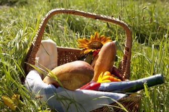 Essen, Trinken, Sonnenschutz: Haben Sie an alles gedacht?