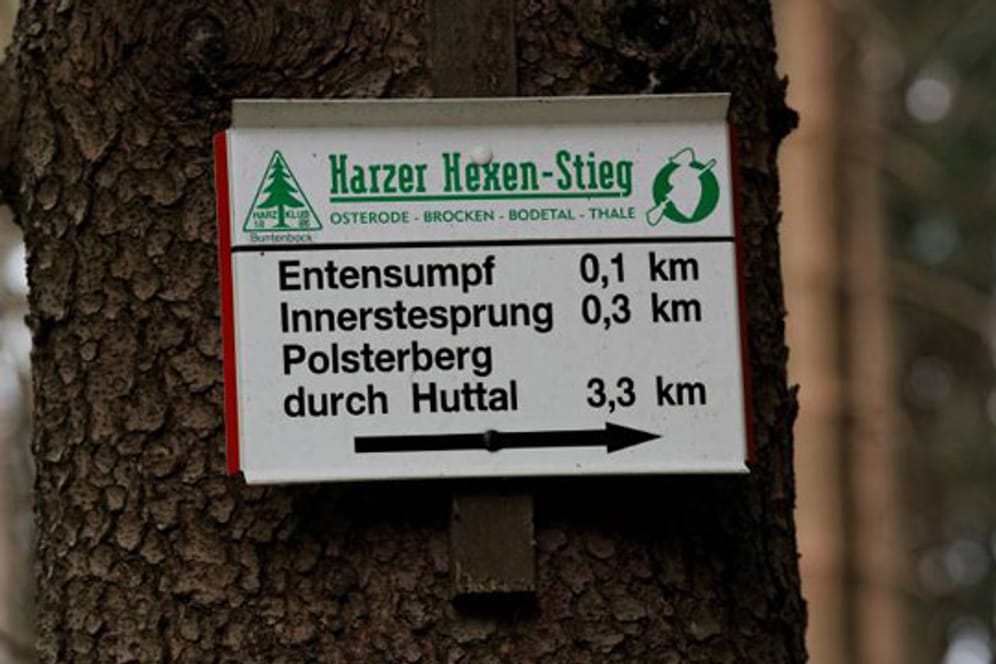 Der Harzer-Hexenstieg bietet eine abwechslungsreiche Route, die sich durch Moorlandschaften, Granitfelsen und dichte Misch- und Nadelwälder auszeichnet.