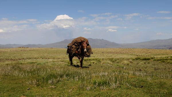 Zu Pferd unterwegs im Land der Gauchos