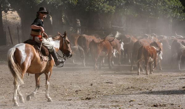Zu Pferd unterwegs im Land der Gauchos