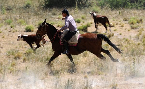 Zu Pferd unterwegs im Land der Gauchos