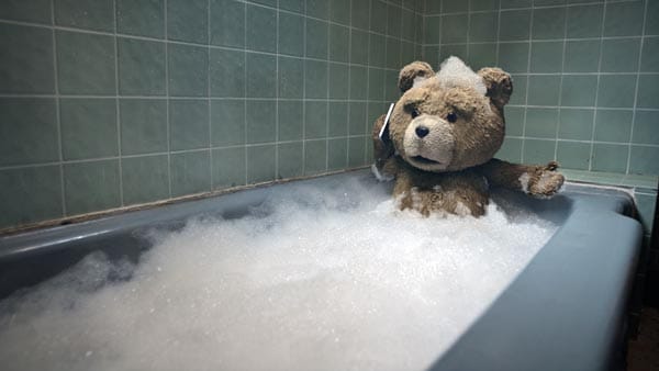 Früher war Ted als einziger lebendiger Teddybär auf der Welt ein echter Medienstar. Doch mittlerweile hat man sich an seine Existenz gewöhnt, und Teds Ruhm ist verblasst.