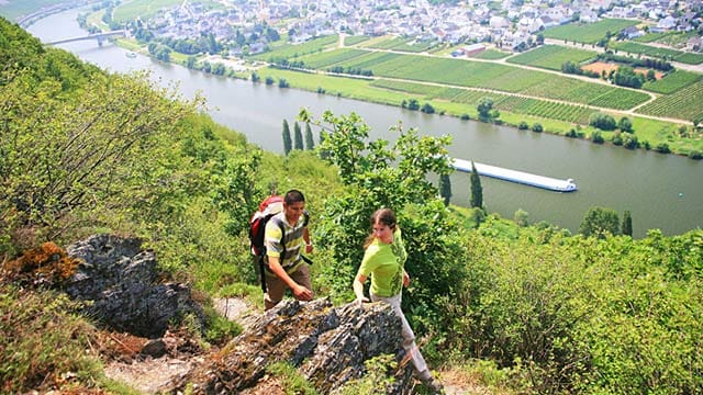 Von Trier nach Koblenz führt die Mosel-Erlebnisroute - steile Weinberge inbegriffen.