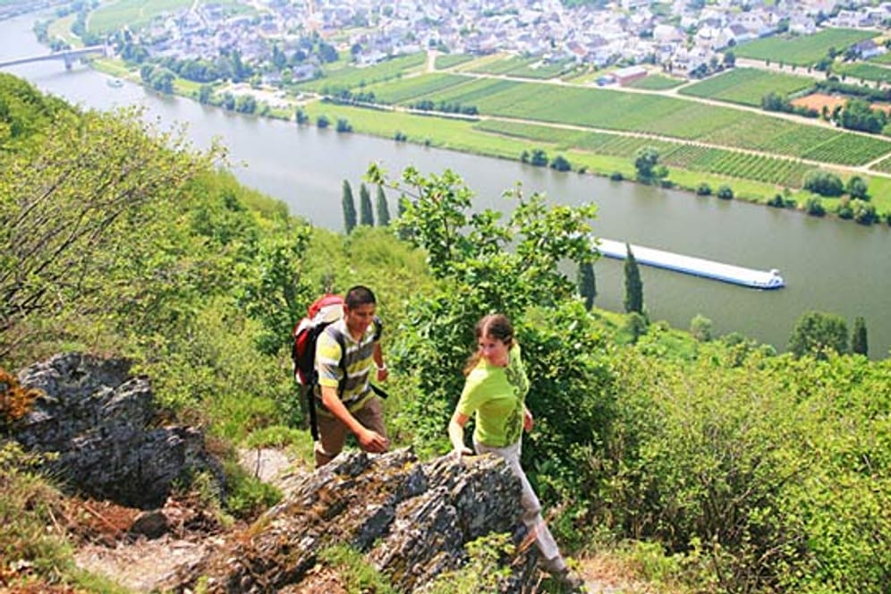 Von Trier nach Koblenz führt die Mosel-Erlebnisroute - steile Weinberge inbegriffen.