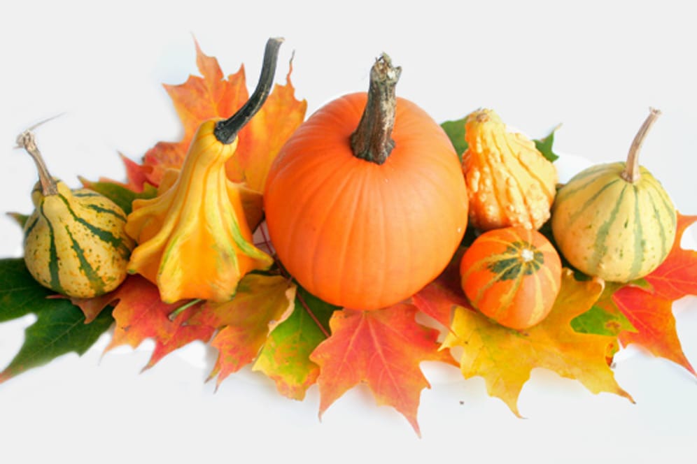 Herbstliche Tischdeko mit natürlichen Materialien.