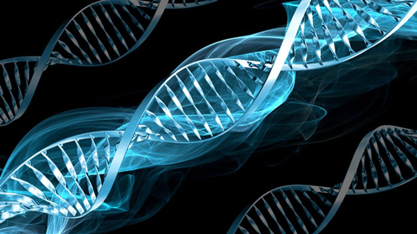 Das Erbgut auf einem DNA-Strang hat viel mehr Funktionen als bislang angenommen
