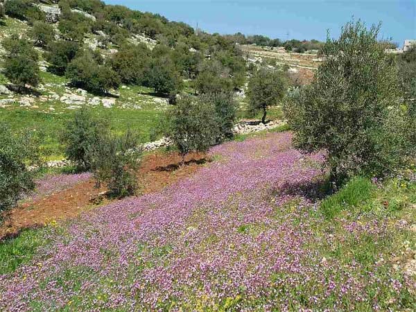 Jordanien - überraschend anders.