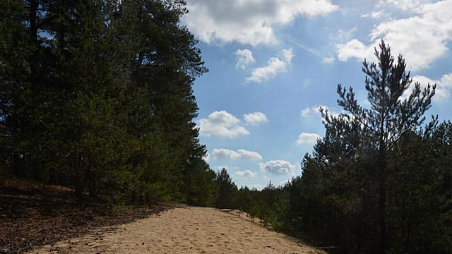 Ein neuer Wanderweg führt über mächtige Dünen.