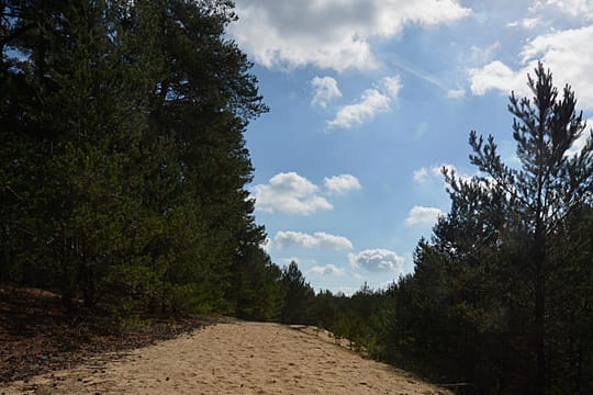 Ein neuer Wanderweg führt über mächtige Dünen.