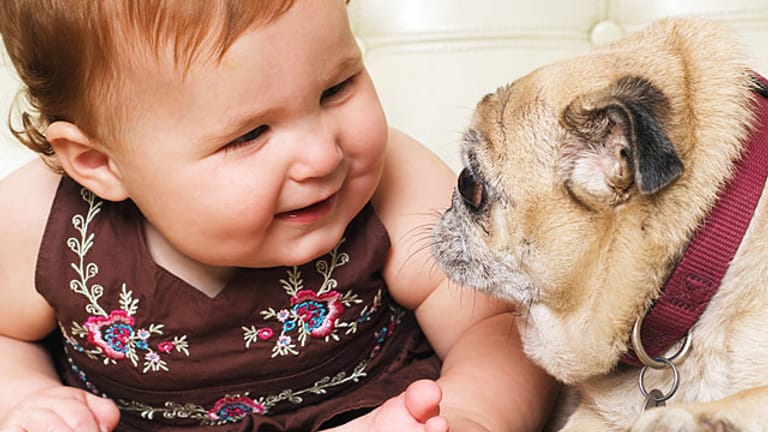 Haustiere und Babys können gute Freunde werden.
