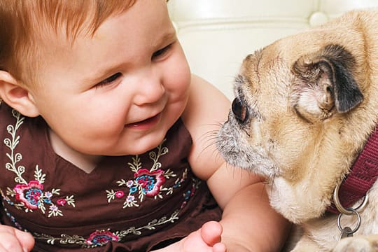 Haustiere und Babys können gute Freunde werden.