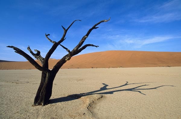 Die orangefarbenen Namibsand-Dünen des Sossusvlei umgeben die beige Salz-Ton-Pfanne ("Vlei”) im Namib-Naukluft-Park